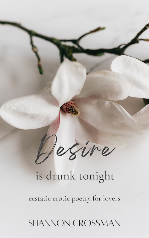 Book Cover: Desire is Drunk Tonight